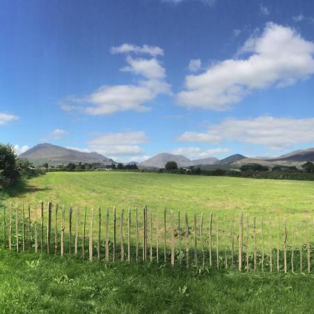 Willowtree Glamping Mournes Villa Annalong Exteriör bild
