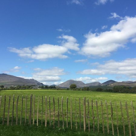 Willowtree Glamping Mournes Villa Annalong Exteriör bild