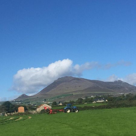 Willowtree Glamping Mournes Villa Annalong Exteriör bild
