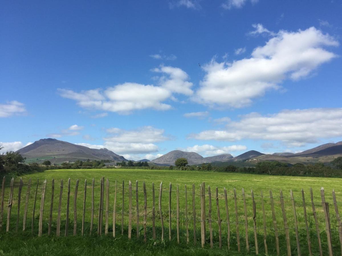 Willowtree Glamping Mournes Villa Annalong Exteriör bild