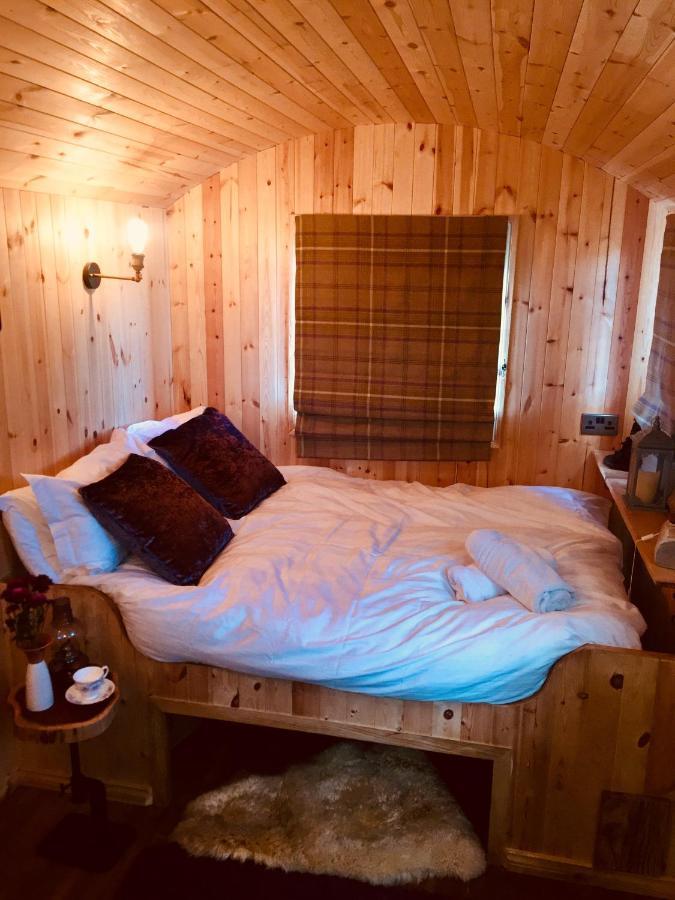 Willowtree Glamping Mournes Villa Annalong Exteriör bild