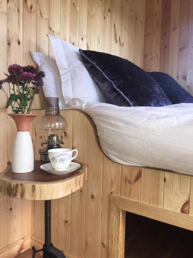 Willowtree Glamping Mournes Villa Annalong Exteriör bild
