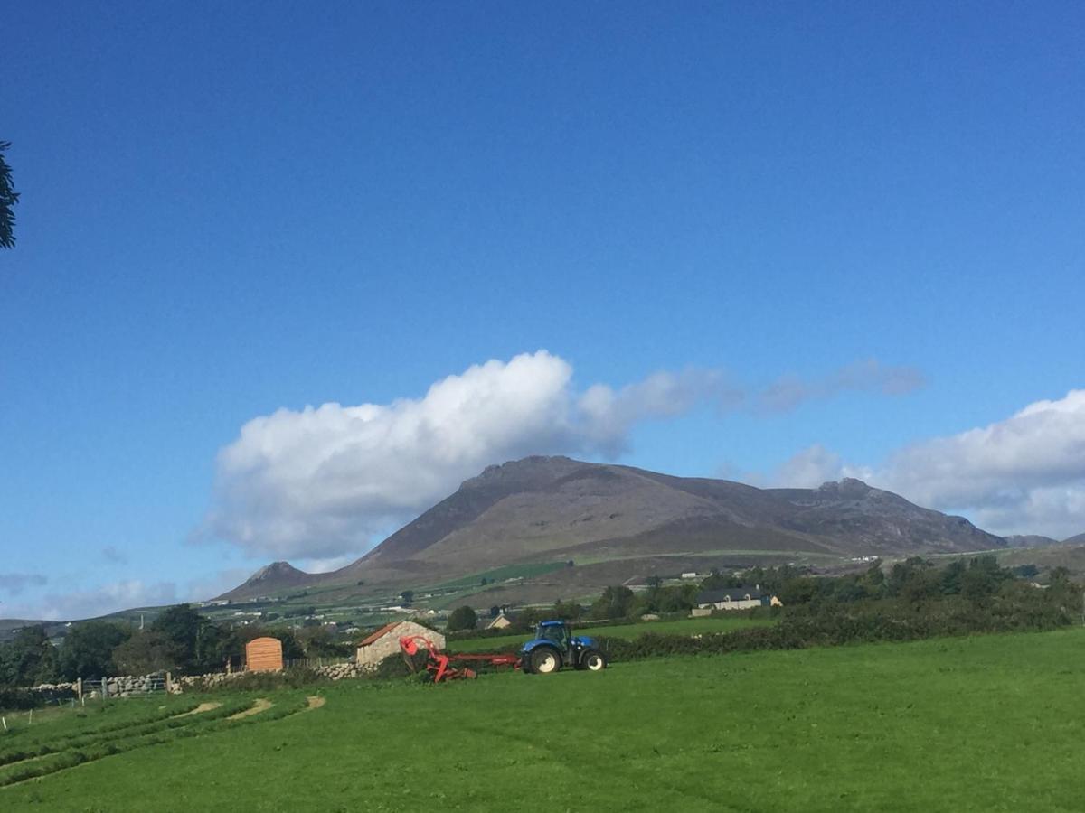 Willowtree Glamping Mournes Villa Annalong Exteriör bild
