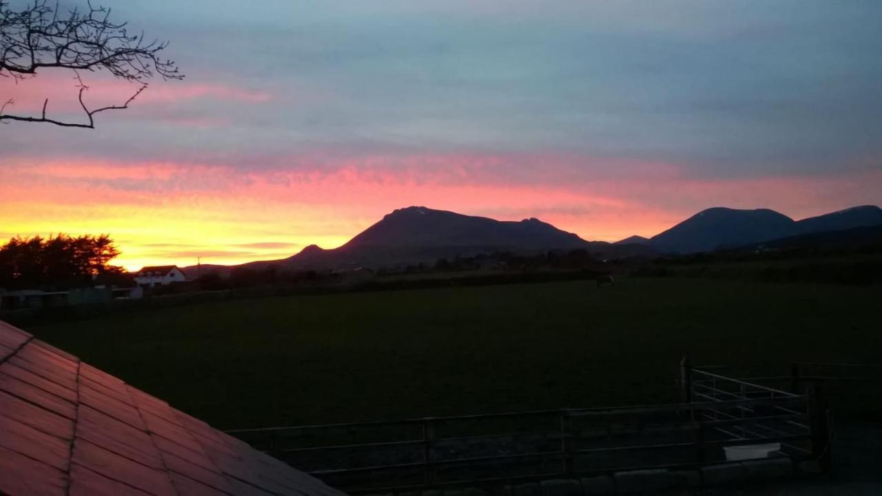 Willowtree Glamping Mournes Villa Annalong Exteriör bild