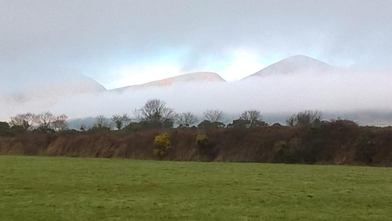 Willowtree Glamping Mournes Villa Annalong Exteriör bild