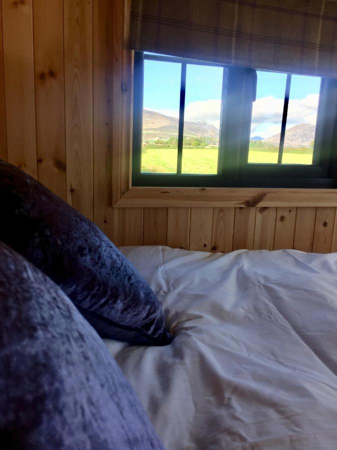 Willowtree Glamping Mournes Villa Annalong Exteriör bild