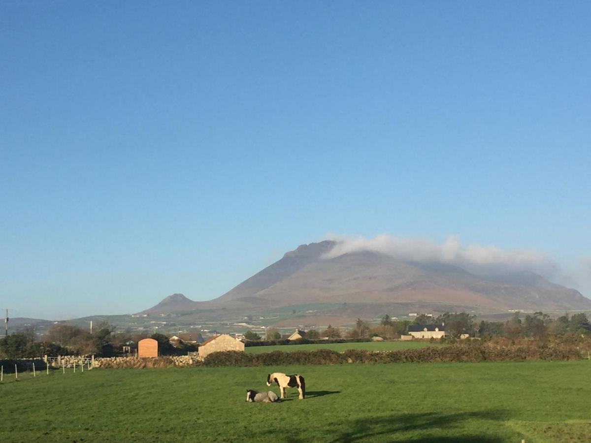 Willowtree Glamping Mournes Villa Annalong Exteriör bild