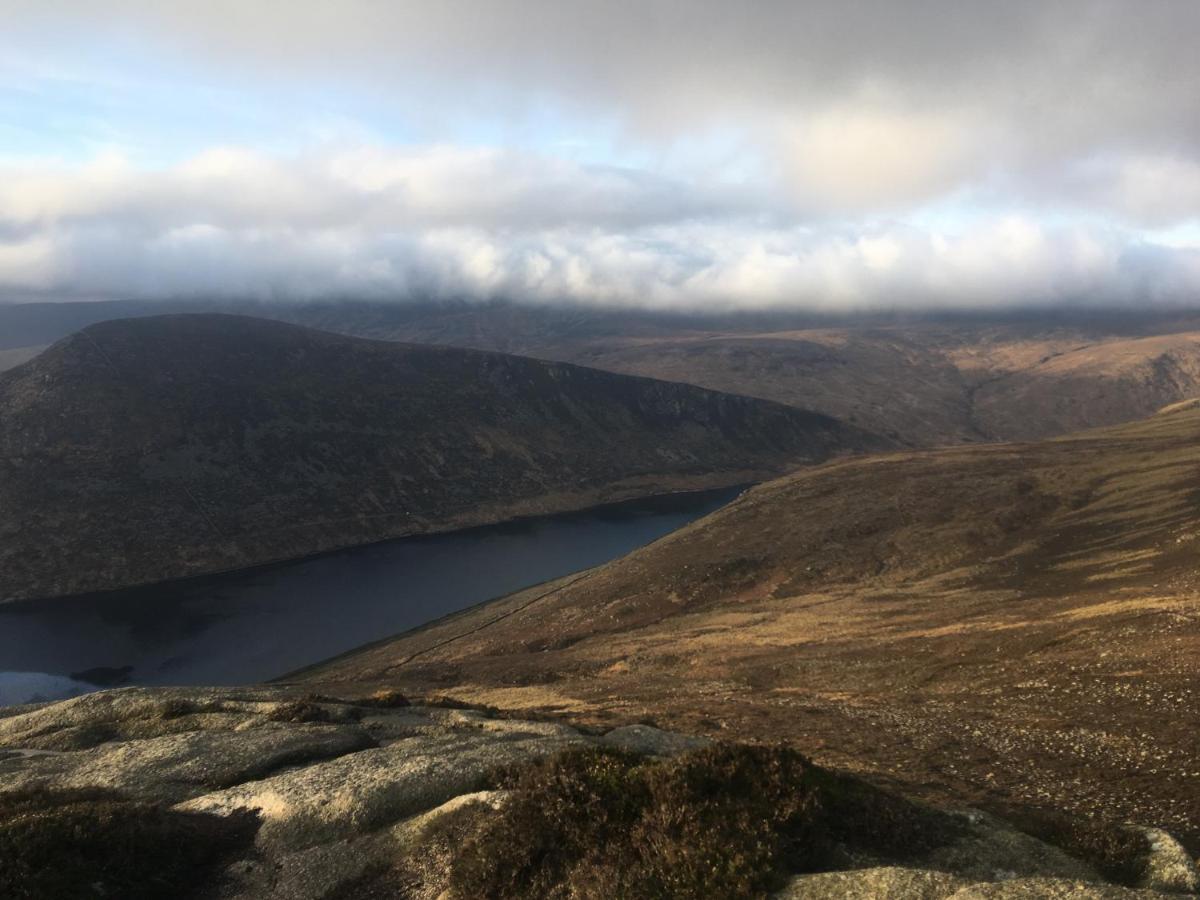 Willowtree Glamping Mournes Villa Annalong Exteriör bild