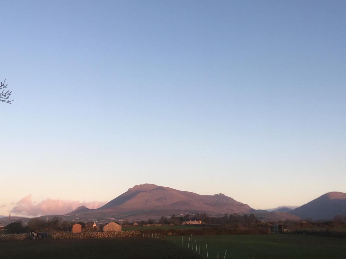 Willowtree Glamping Mournes Villa Annalong Exteriör bild